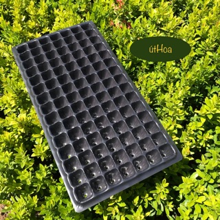 (Siêu bền chắc) 5 cái Khay Ươm Hạt, vỉ ươm hạt 32/50/72/104/105/128/200 lỗ siêu tiện lợi