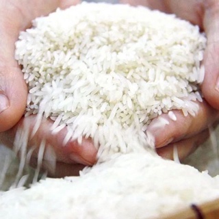 Gạo Thơm Thái Dẻo Vừa, Mềm Cơm 5Kg
