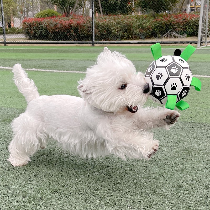 ❏Đồ chơi bóng đá cho chó chống cắn tạo tác nhàm chán răng hàm vật nuôi tương Teddy Corgi cung cấp săn mồi vàng