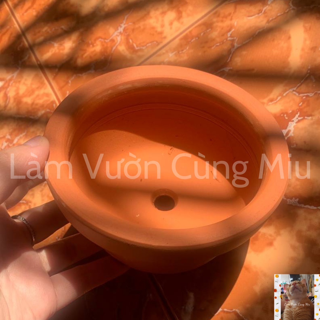 Chậu Đất Nung Nâu 12x6cm - Phù Hợp Cho Các Loại Sen Dù ☂️☂️☂️