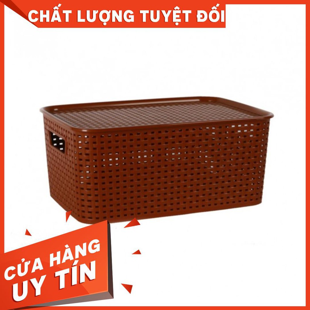 ( RẺ VÔ ĐỊCH) Giỏ Đựng Đồ giả mây phong cách Hàn Quốc / Song Long đan đủ size nhiều mầu