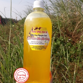 Mật Ong Hoa Bạc Hà Thượng Hạng Của Cao Nguyên Đá Hà Giang