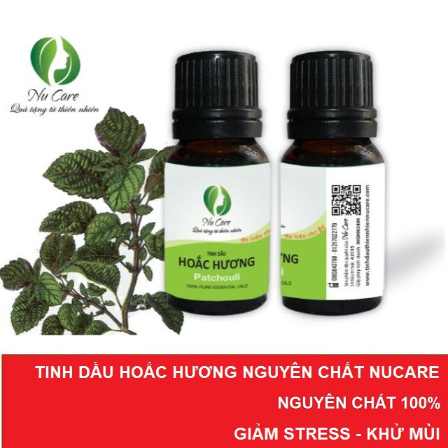 Tinh Dầu Hoắc Hương Nguyên Chất 10ml giảm stress, căng thẳng thần kinh, dưỡng mọc tóc, khử mùi hôi, freeship