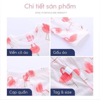 Bộ cotton giấy qc