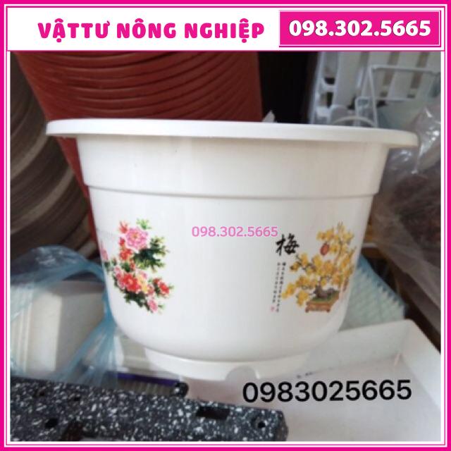 Chậu hoa bốn mùa trồng cây kt:25x17