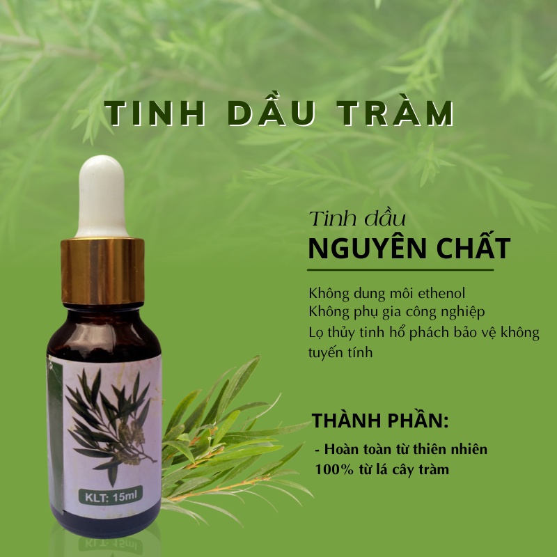 Tinh dầu Tràm essential oil giúp khử mùi, thơm phòng 100% nguyên chất - 10ml
