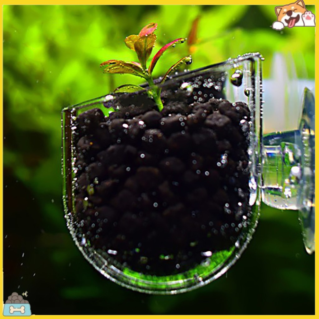 Cốc trồng cây / đựng thức ăn tiện lợi dùng trang trí bể cá