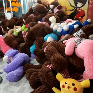 Gấu bông Teddy 1M4