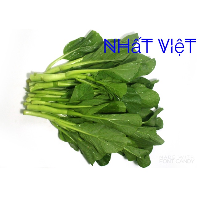 Hạt giống Cải Ngồng Cao sản 20gr (ngon giòn, ngọt)