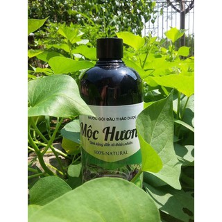 Nước gội đầu thảo dược Mộc Hương