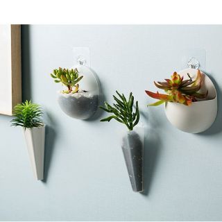Chậu trồng cây treo tường mini