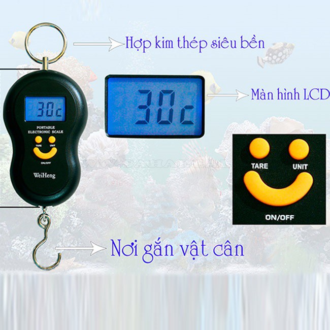 Cân cầm tay mini điện tử