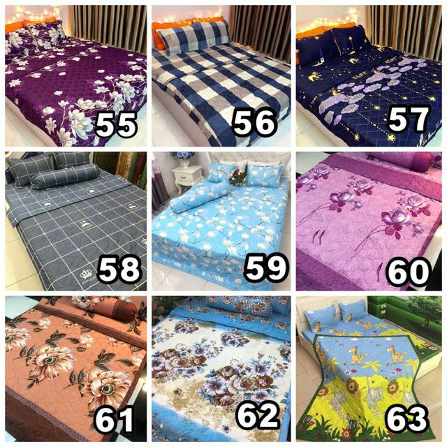 Bộ ga chun chăn chần hè kèm 2 vỏ gối nằm và 1 vỏ gối ôm cotton poly | BigBuy360 - bigbuy360.vn