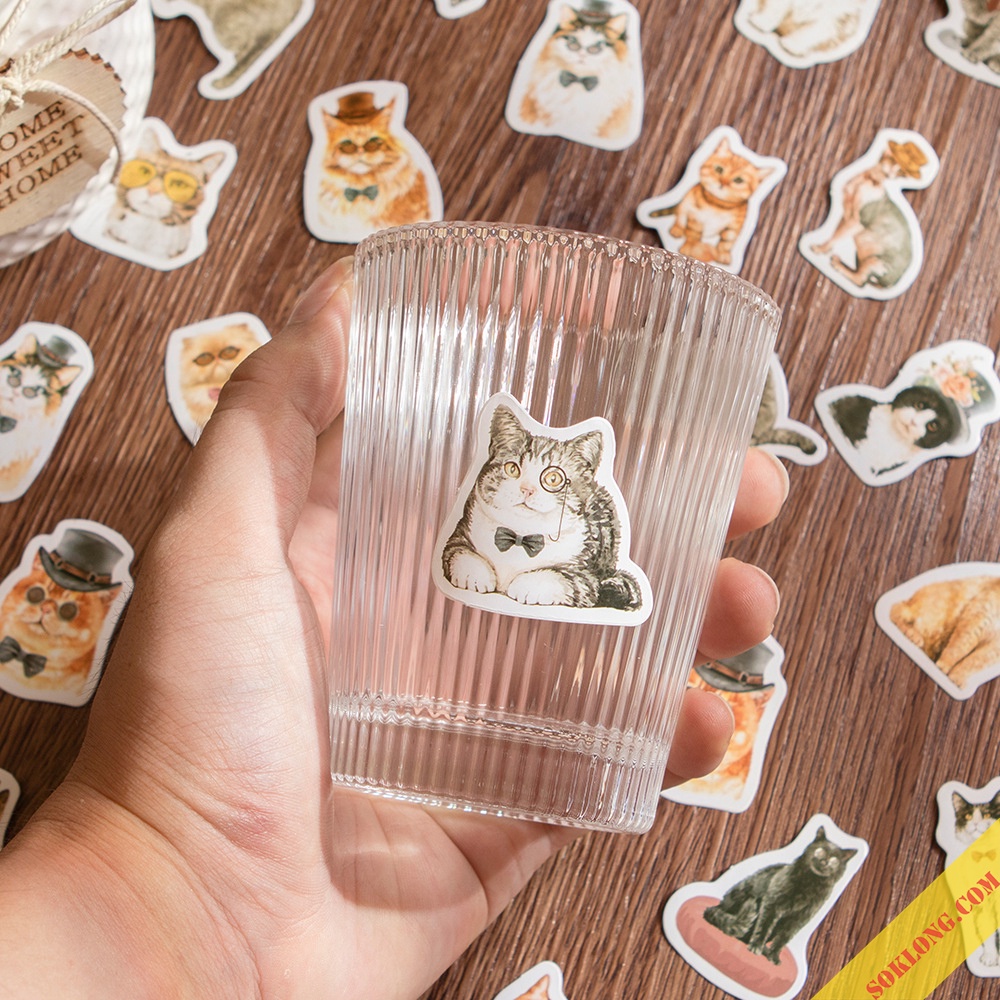 Sticker cute hình mèo hộp 46 sticker hoạt hình Mèo STI62 phong cách Châu Âu dễ thương