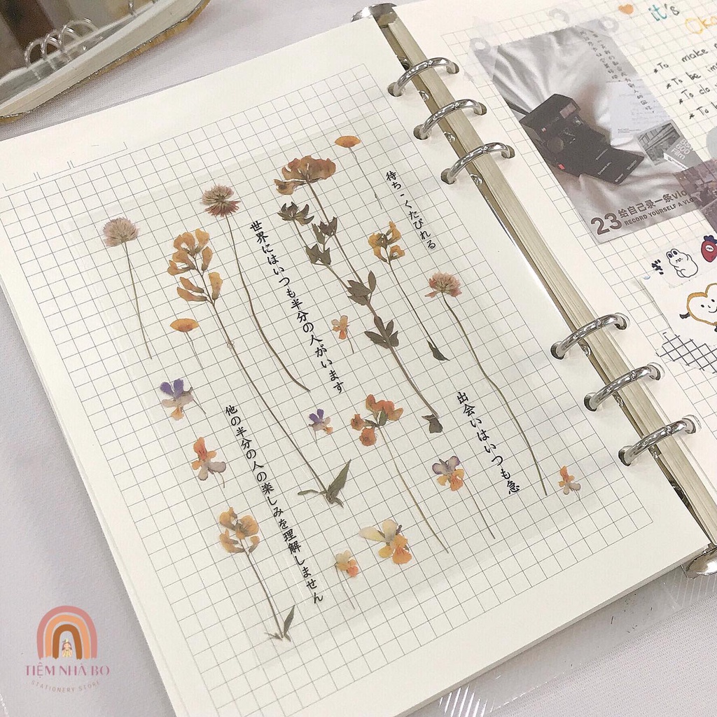 STICKER HOA, NHÃN DÁN TRANG TRÍ SỔ TAY BASIC SIÊU XINH