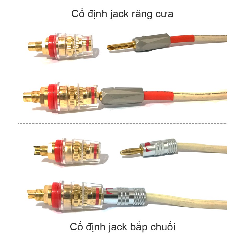 Cọc loa 3 tác dụng Bắp chuối - Càng cua - Mỏ chim cho Loa/Amplifier mạ đồng OCC chất lượng tốt (1 chiếc)