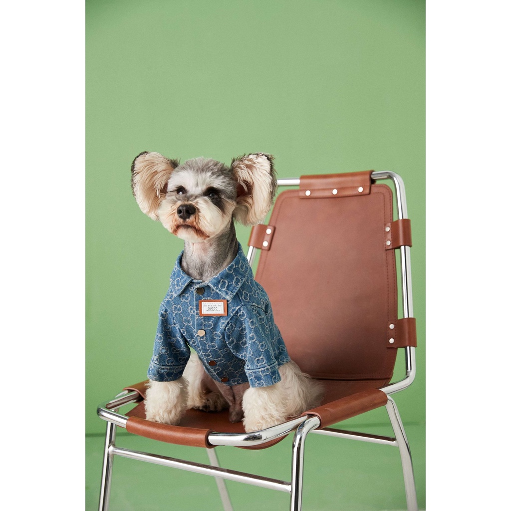 Áo Khoác Denim Thời Trang Xuân Thu Dành Cho Cún Cưng