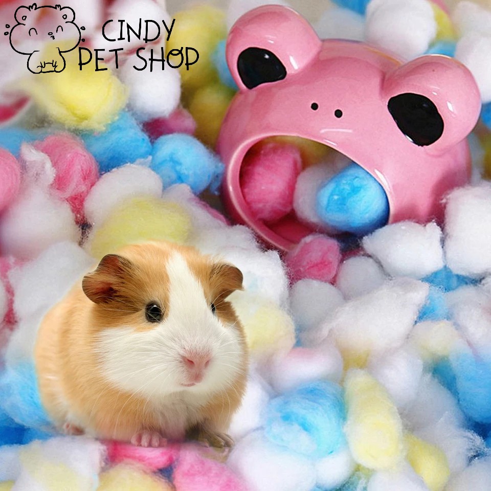 Bông gòn tạo ổ ấm áp cho Hamster, Sóc Bay, Sóc Bông...