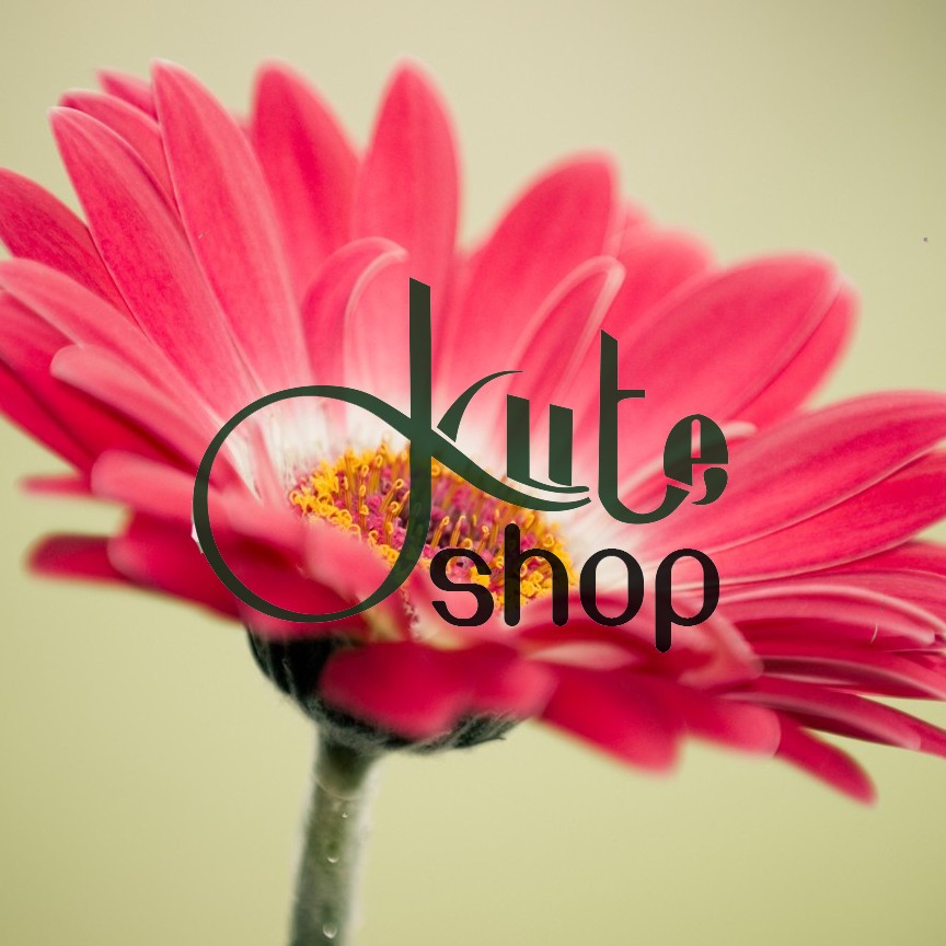 Tram Kute, Cửa hàng trực tuyến | BigBuy360 - bigbuy360.vn