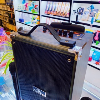 Loa Kéo Karaoke Bluetooth Kingwe Q8