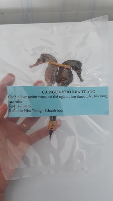 Cá Ngựa Khô - Cá Ngựa Ngâm Rựu - Hải Mã Khô tặng kèm 1 hải long