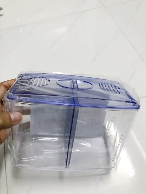 HỒ NHỰA NUÔI CÁ 2 NGĂN 18x7x13cm