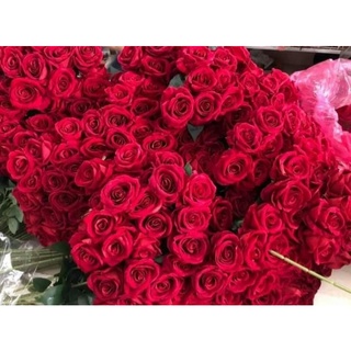 hoa hồng nhung lụa cành 1 bông 70cm
