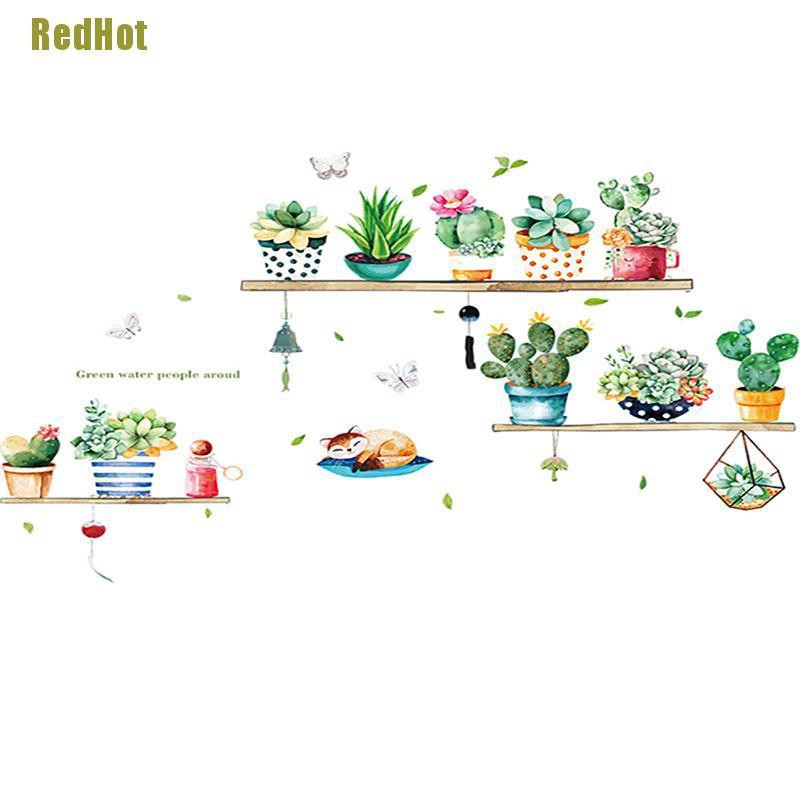 Sticker Dán Tường Hình Cây Xương Rồng Dùng Trang Trí Phòng Khách