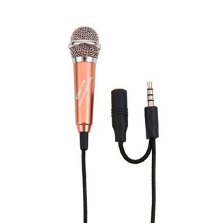 Microphone Mini