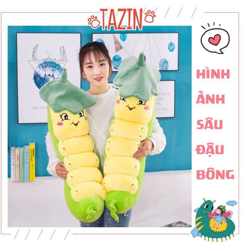 Gấu bông sâu đậu, gối ôm sâu đậu bông cao cấp TAZIN