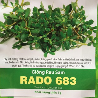 Hạt Giống Rau Sam Rado 683 Gói 1gr Sinh Trưởng Mạnh