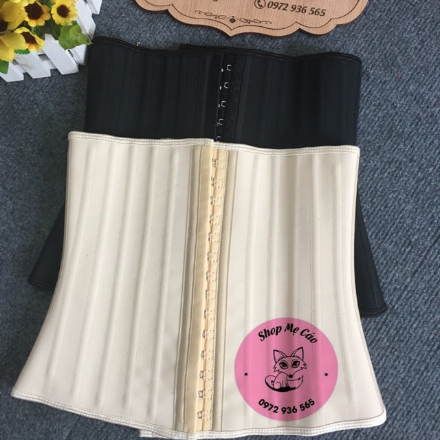 Latex hy lạp 25 xương