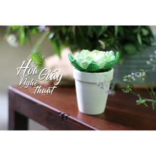 CHẬU HOA GIẤY - ĐẤT NUNG (màu trắng)