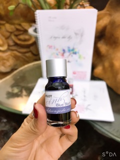 Mực pilot ink Nhật cao cấp 10ml