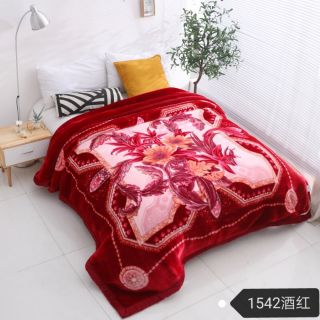 CHĂN ĐÔNG CAO CẤP HÀNG THÁI 2019