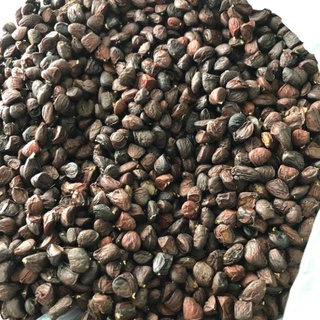 100g HẠT DỔI NẾP LOẠI ĐẶC BIỆT