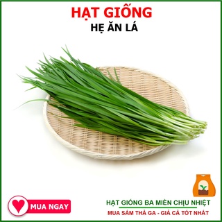 1Gram Hạt Giống Hẹ Lá Duyên Hải