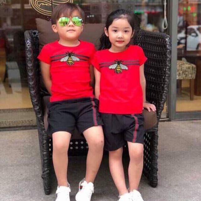 Combo áo ong 8-20 kg