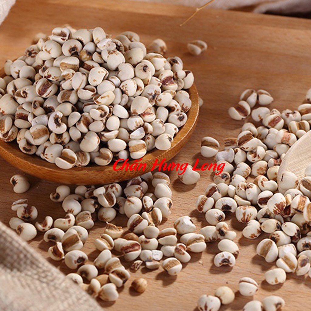 HẠT Ý DĨ HẠT BO BO 100g - HẠT TO MẨY CHẮC - Đông Y Chấn Hưng Long