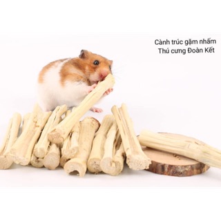 (3 cành) Cành trúc mài răng cho hamster, thỏ, bọ ú, chinchilla