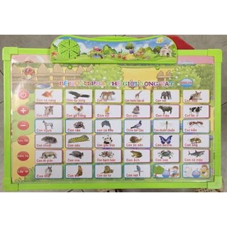 Bảng chữ cái điện tử thông minh