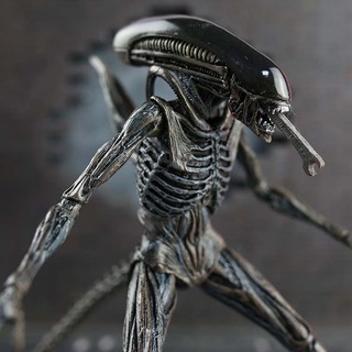 Mô hình Alien Contract Xenomorph - AVP Ailen vs Predator