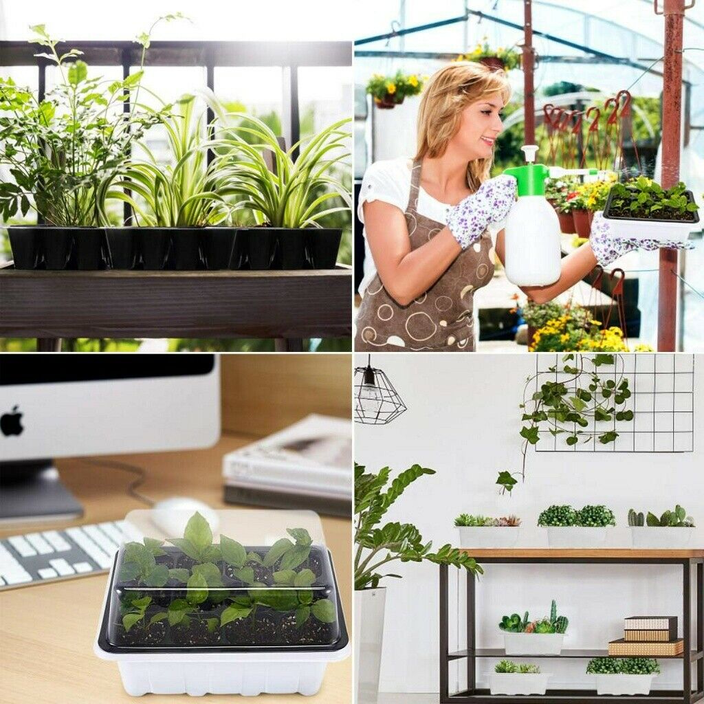 Hộp Nhựa Ươm Hạt Giống 6 / 12 Ngăn Tiện Lợi