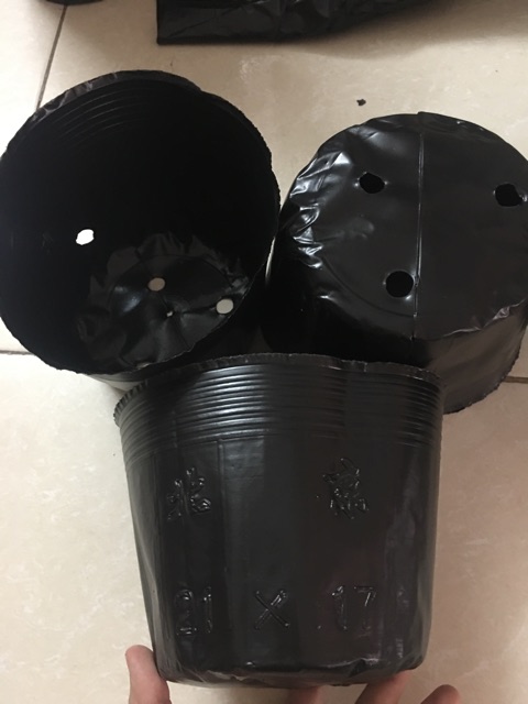 1kg chậu ươm cây giống 21-17 khoảng 110 chậu