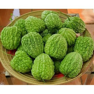 Hạt giống khổ qua trái tim - 5 hạt