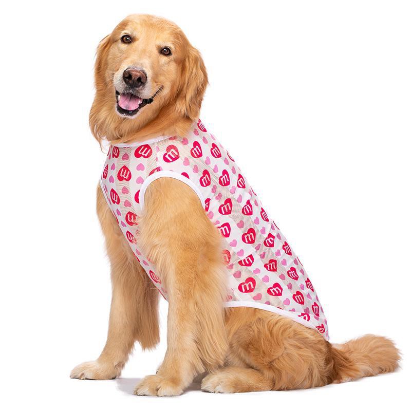 quần áo cho chó lớn mùa xuân và hè phần mỏng Golden Retriever Satsuma vừa cưng vest chống nắng