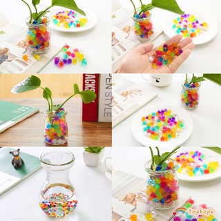 50gr Hạt nở tương đương 2500 hạt trí cây cảnh, trang trí slime