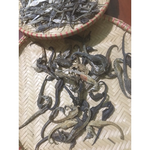 1 cặp Cá ngựa - Hải mã khô 7-10cm