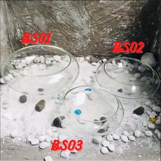 Bể cá mini, bể cá TRÒN THẤP( CHỌN MẪU) ki