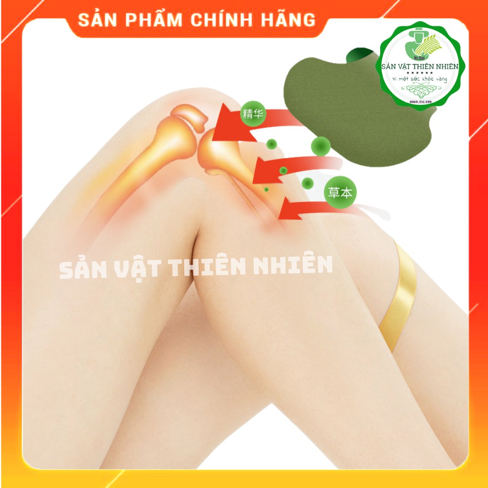 Cao Dán Vai Gáy Ngải Cứu Ngải Nhức Mỏi Xương Lưng Đầu Gối Hiệu Quả
